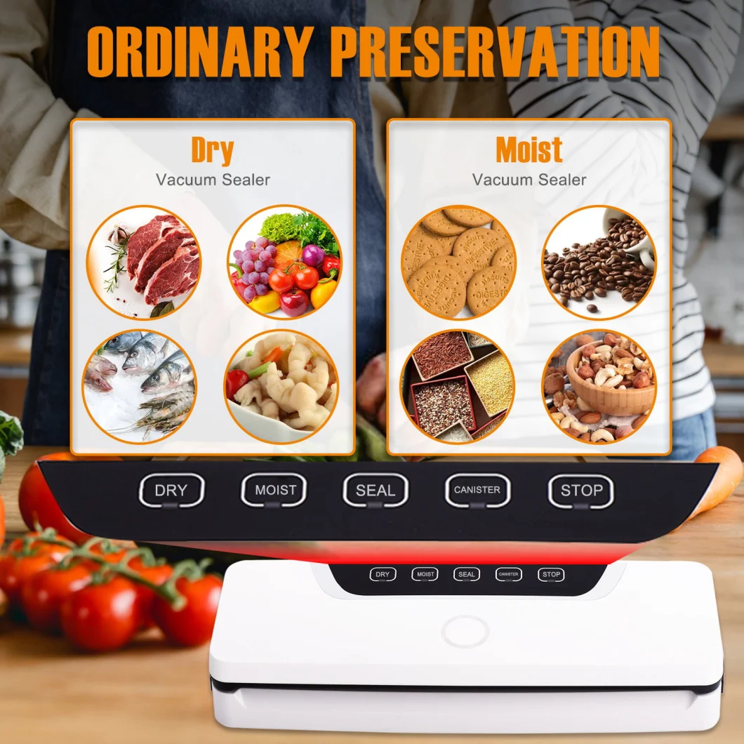 Ootd Electric Portable Vacuum Sealer 110V 220V