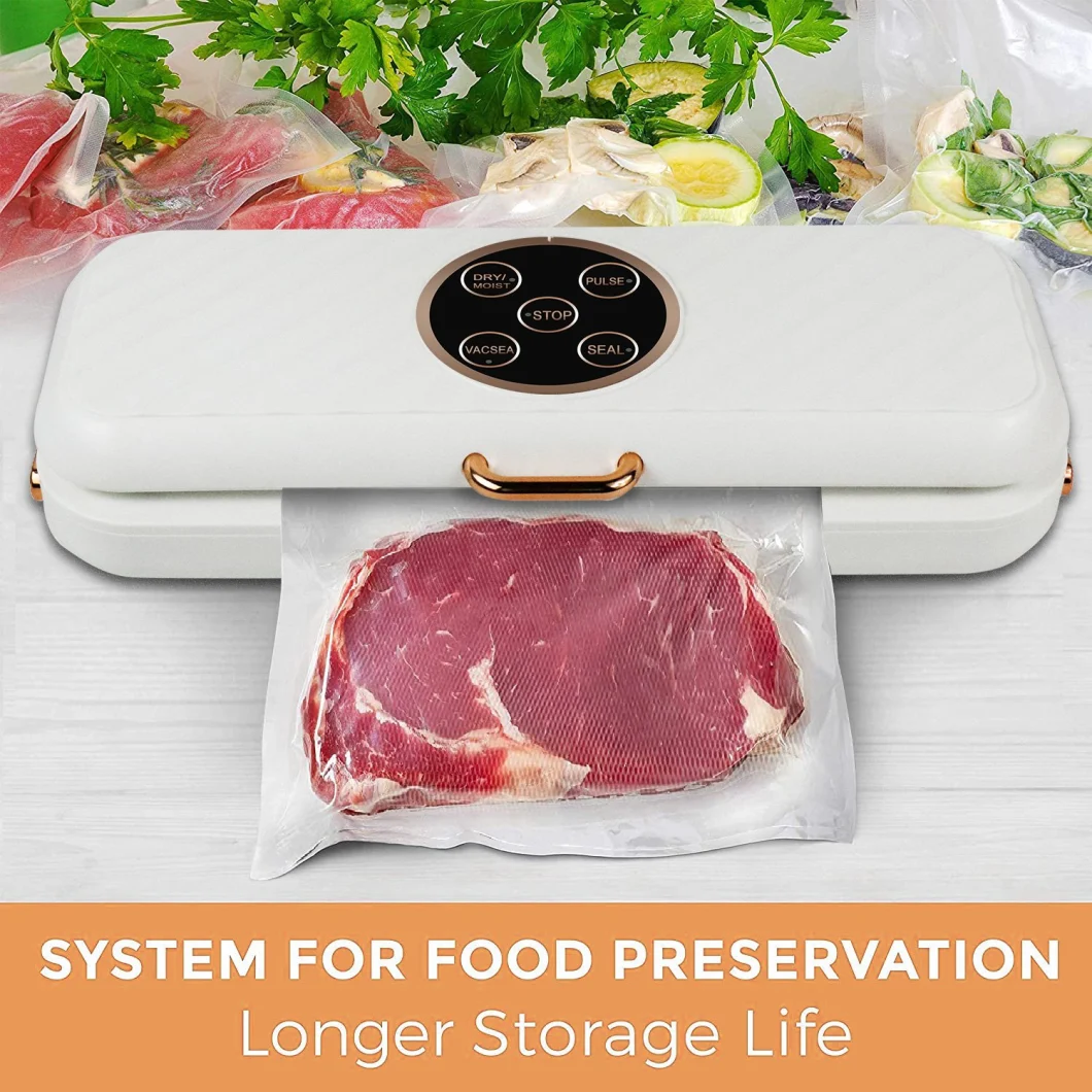 Ootd Multifunctional Kitchen Vacuum Food Sealer