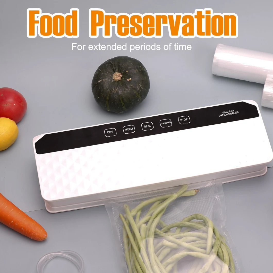 Ootd Sous Vide Household Automatic Commercial Use with Free Bags Vacuum Sealer